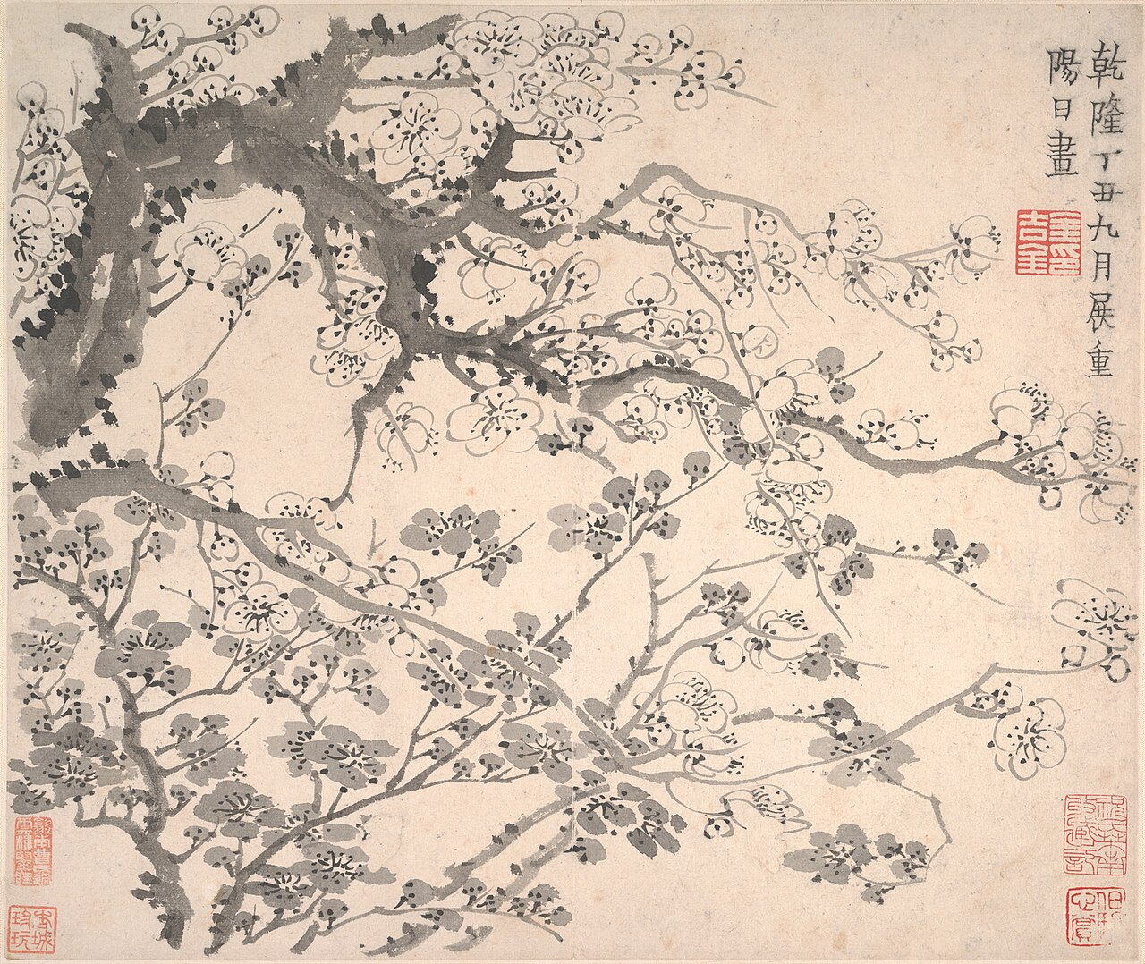 Plum Blossoms